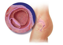 3-nedelya-beremennost