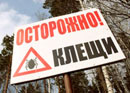 Какие клещи опасны, осторожно клещи